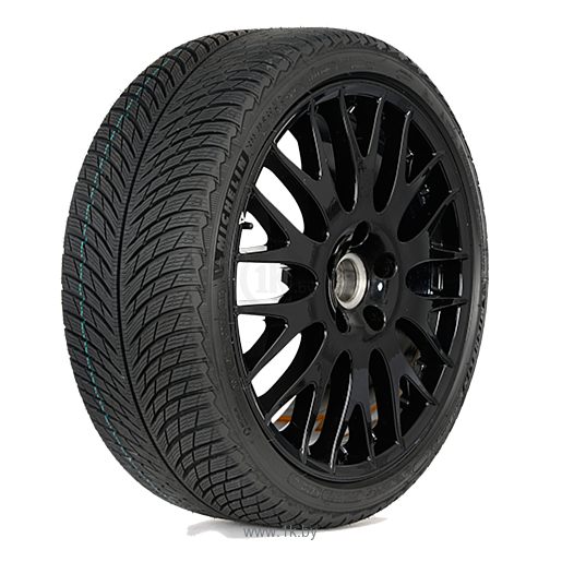 Фотографии Michelin Pilot Alpin 5 225/60 R17 99H