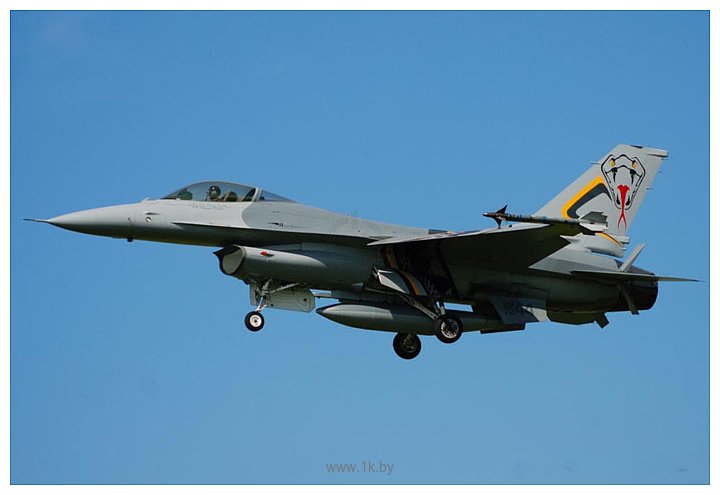 Фотографии Hasegawa Истребитель F-16A ADF Fighting Falcon Viper