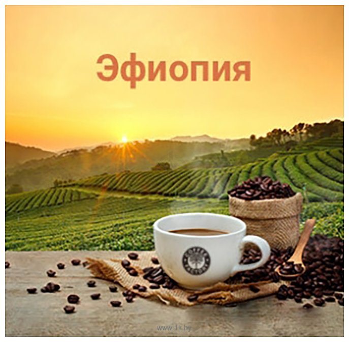 Фотографии Coffee Factory Моносорт Эфиопия Сидамо GR 2 в зернах 1000 г
