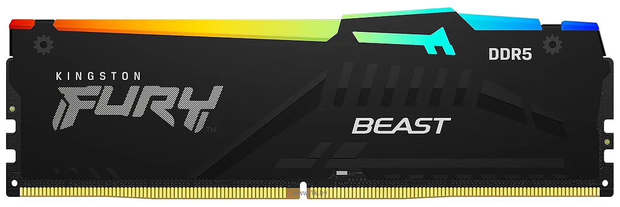 Фотографии Kingston FURY Beast RGB KF556C36BBE2A-32 Фотографии Kingston FURY Beast RGB KF556C36BBE2A-32