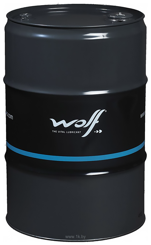 Фотографии Wolf EcoTech DSG Fluid 5080/60 60 л