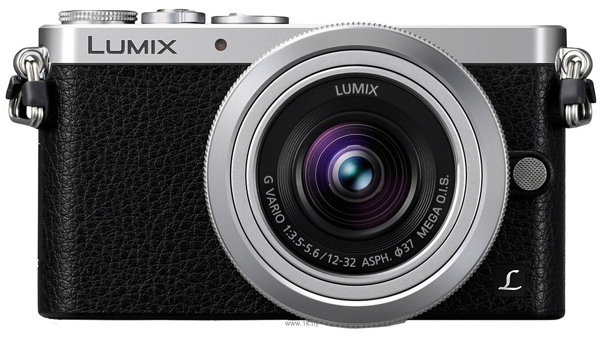 Фотографии Panasonic Lumix DMC-GM1 Kit