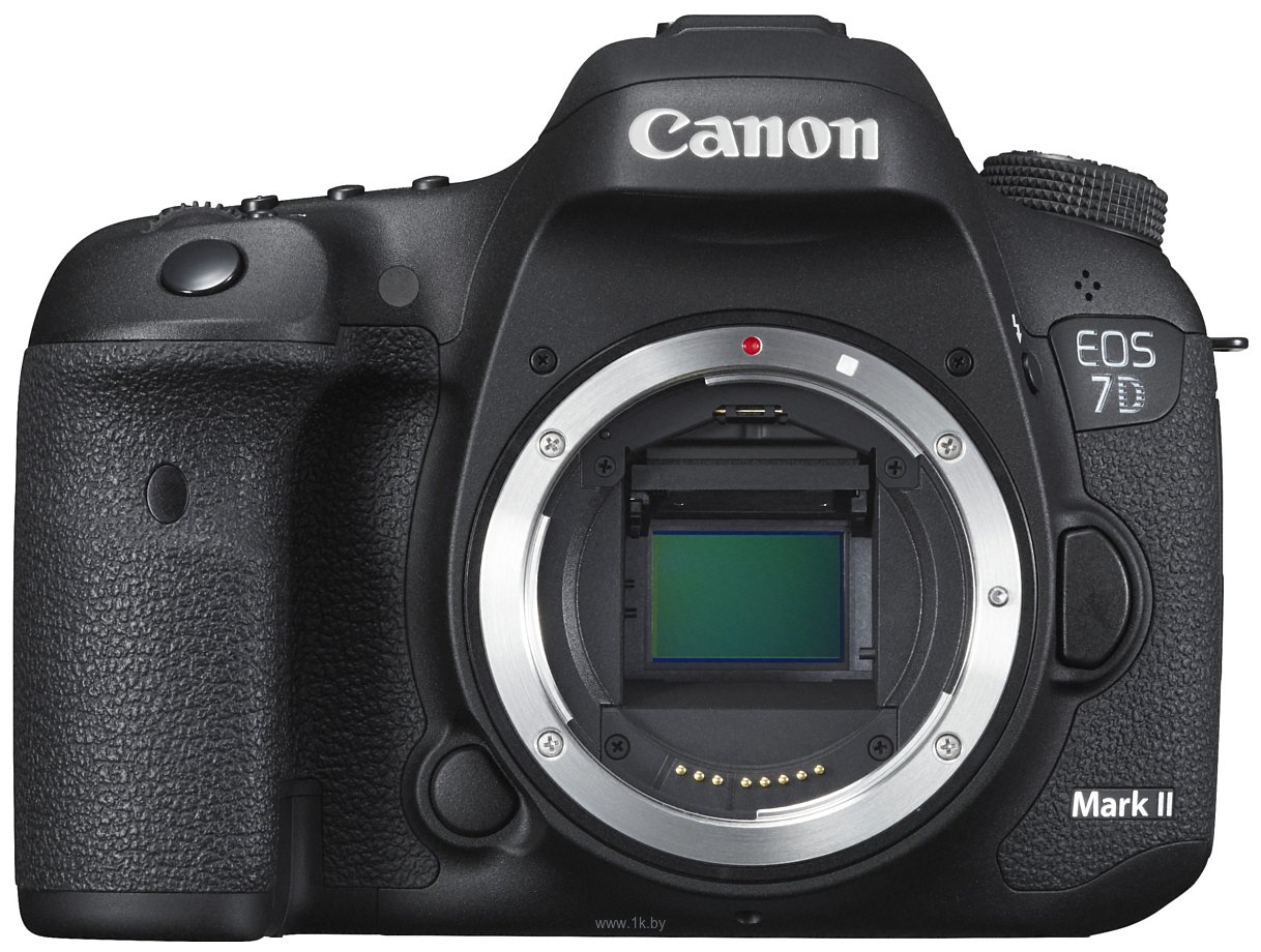 Фотографии Canon EOS 7D Mark II Body