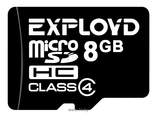 Фотографии Exployd microSDHC (Class 4) 8GB [EX008GCSDHC4-W/A-AD]