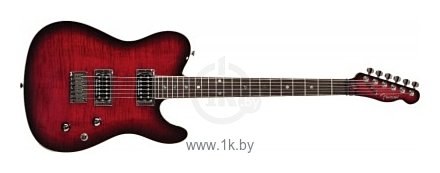 Фотографии Fender Special Edition Custom Telecaster RW HH