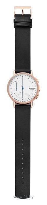 Фотографии SKAGEN Signatur (leather)