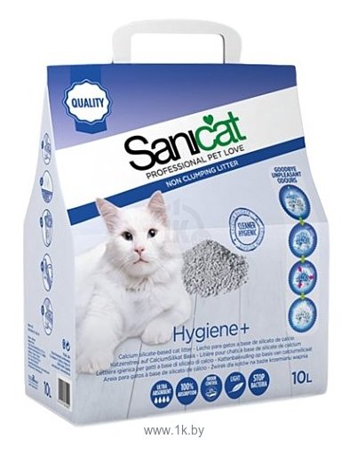 Фотографии Sanicat Hygiene Plus 10л