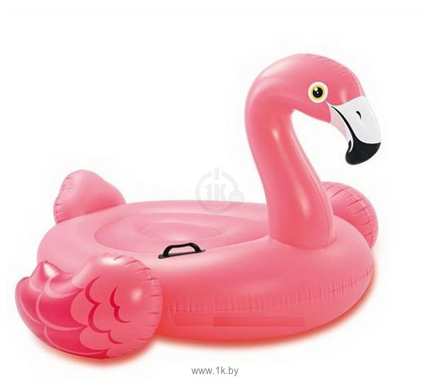 Фотографии Intex Flamingo 57558