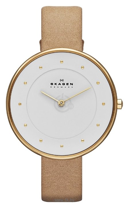 Фотографии Skagen SKW2137