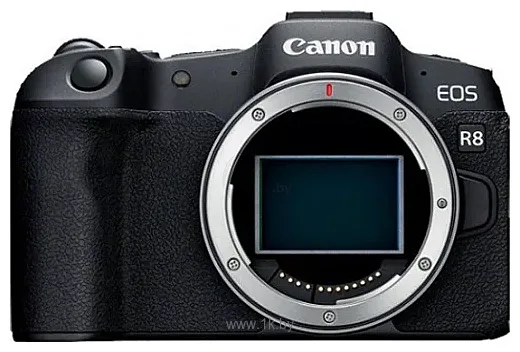 Фотографии Canon EOS R8 Body