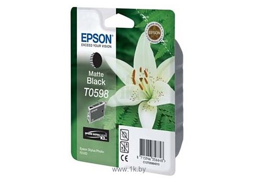 Фотографии Аналог Epson C13T05984010