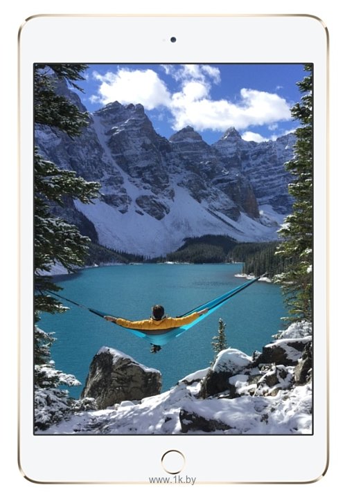 Фотографии Apple iPad mini 4 64Gb Wi-Fi