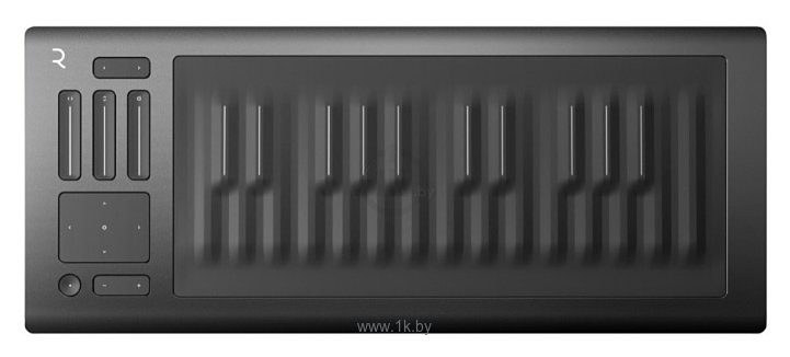 Фотографии ROLI Seaboard RISE 25