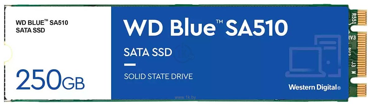 Фотографии Western Digital Blue SA510 250GB WDS250G3B0B