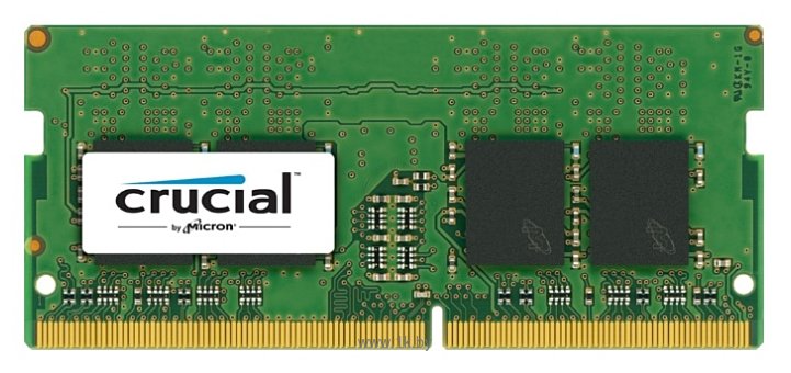 Фотографии Crucial CT8G4SFS824A