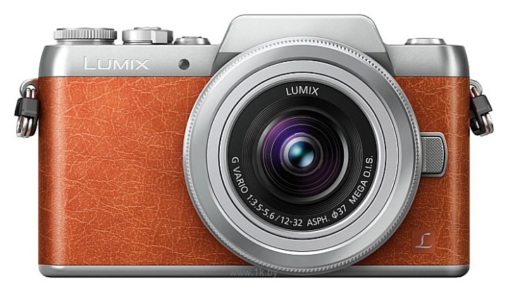 Фотографии Panasonic Lumix DMC-GF8 Body