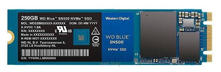 Фотографии Western Digital BLUE SN500 250 GB (WDS250G1B0C)