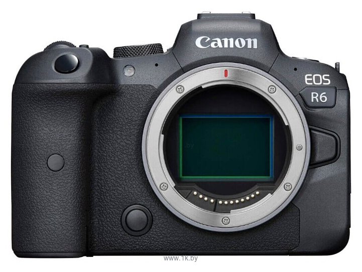 Фотографии Canon EOS R6 Body + адаптер крепления EF-EOS R