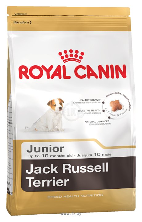 Фотографии Royal Canin Jack Russell Terrier Junior (3 кг)