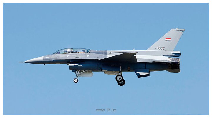 Фотографии Hasegawa Истребитель F-16IQ Iraqi Air Force Fighting Falcon