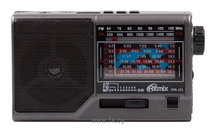 Фотографии Ritmix RPR-151