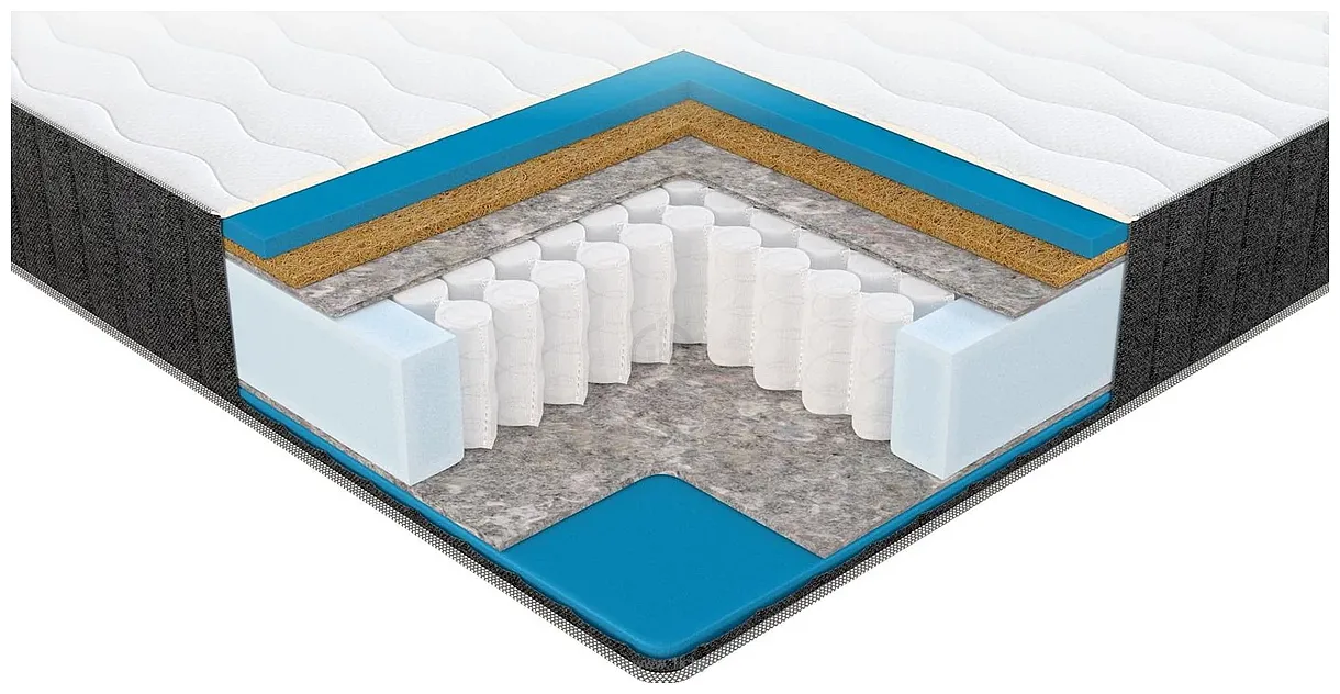 Фотографии Darwin Maestro 160x200