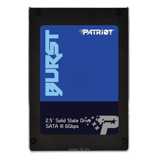 Фотографии Patriot Memory PBU120GS25SSDR