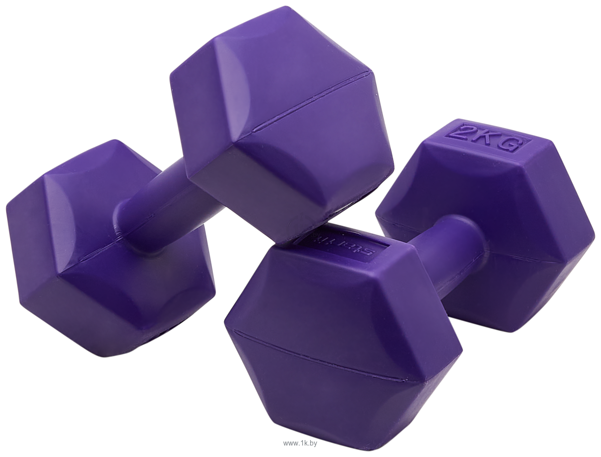 Фотографии BaseFit DB-305 2x2 кг (фиолетовый)