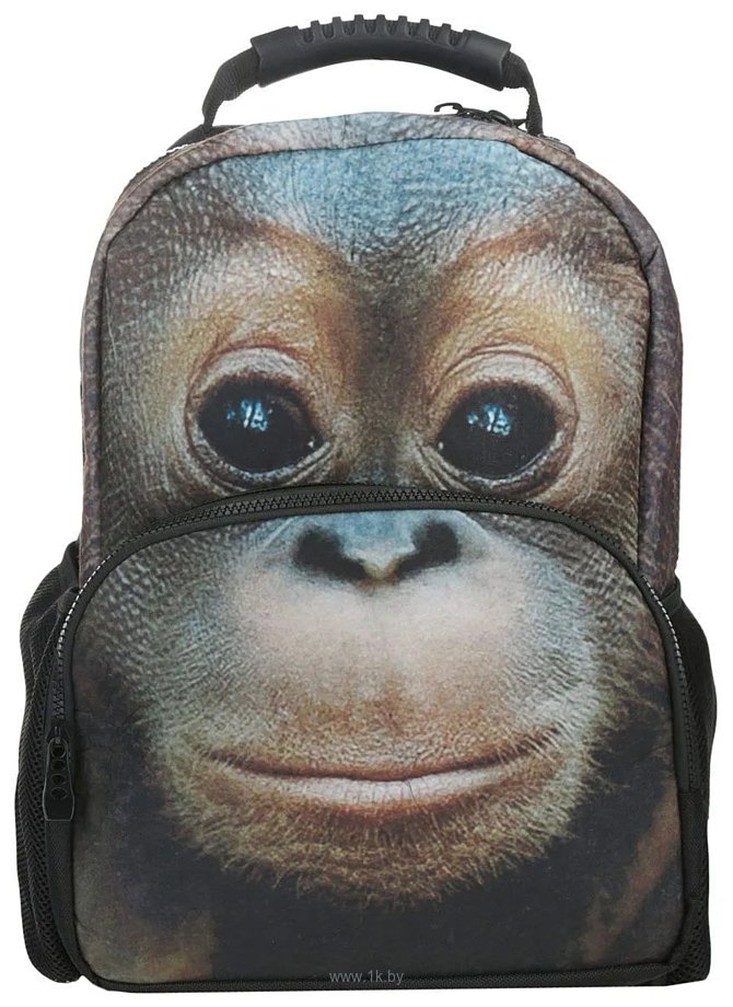 Фотографии Hatber Trend Line Orangutan