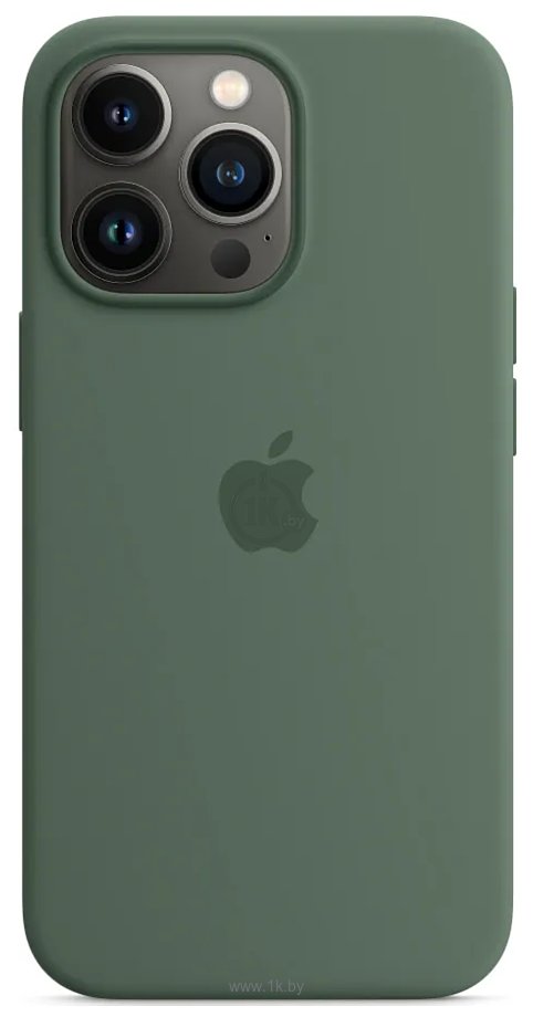 Фотографии Apple MagSafe Silicone Case для iPhone 13 Pro (эвкалиптово-зеленый)