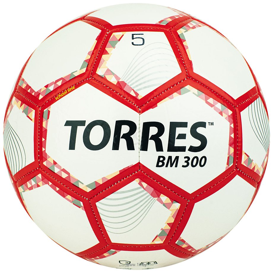 Фотографии Torres BM300 F320745 (5 размер)