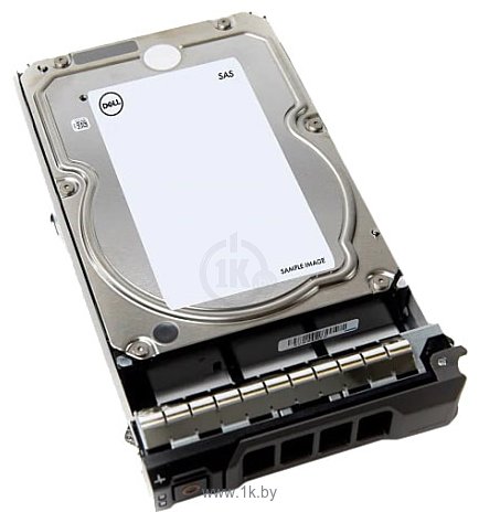 Фотографии Dell 400-AUTD 12TB