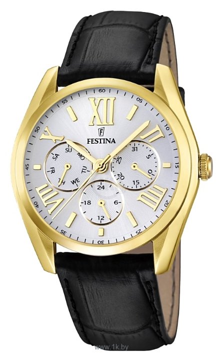 Фотографии Festina F16753/1