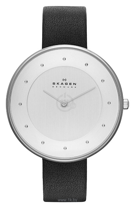 Фотографии Skagen SKW2232