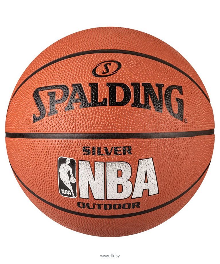 Фотографии Spalding NBA Silver (6 размер)