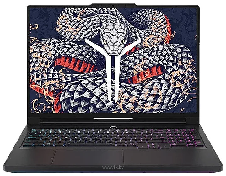 Фотографии Lenovo Legion Y9000P IAX10H 83F50042CD Фотографии Lenovo Legion Y9000P IAX10H 83F50042CD