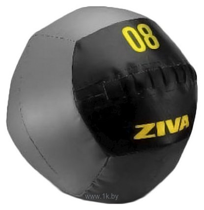 Фотографии Ziva Wall Ball ZVO-FTWB-18-01 (5 шт)