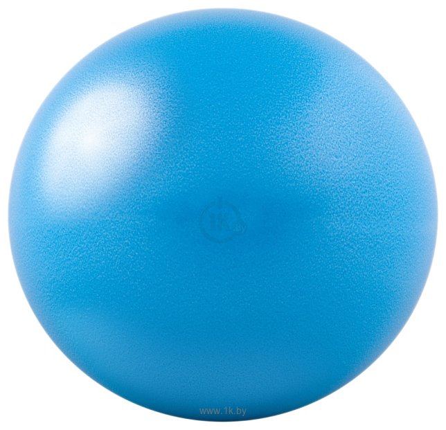 Фотографии Go Fit Core Ab Ball