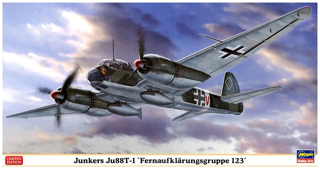 Фотографии Hasegawa Люфтваффе Junkers JU88T-1