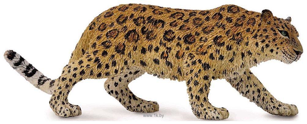 Фотографии Collecta Амурский леопард 88708b XL