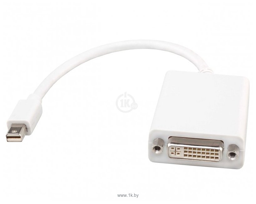 Фотографии DVI - mini-DisplayPort