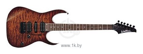 Фотографии Washburn WR150