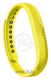 Фотографии Fitbit классический для Fitbit Flex 2 (S, желтый)