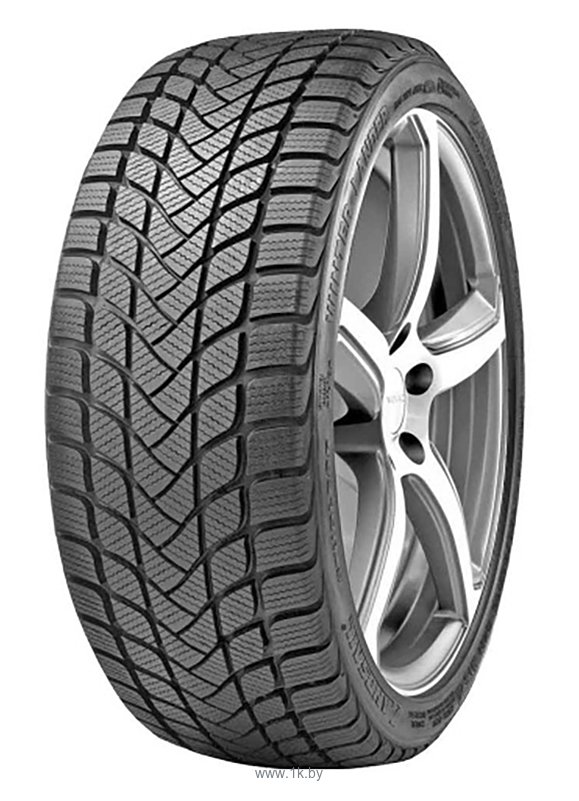 Фотографии Delinte Winter WD6 215/50 R17 95H