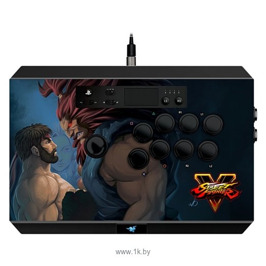 Фотографии Razer Panthera Street Fighter V