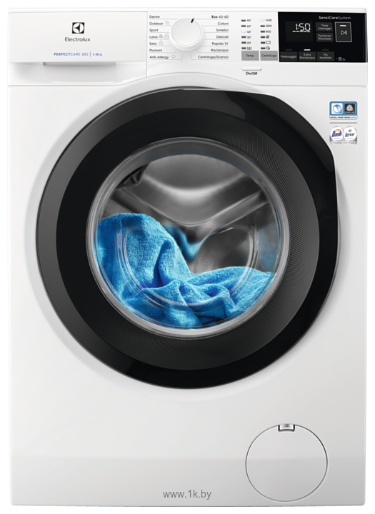 Фотографии Electrolux SensiCare 600 EW6FCH484