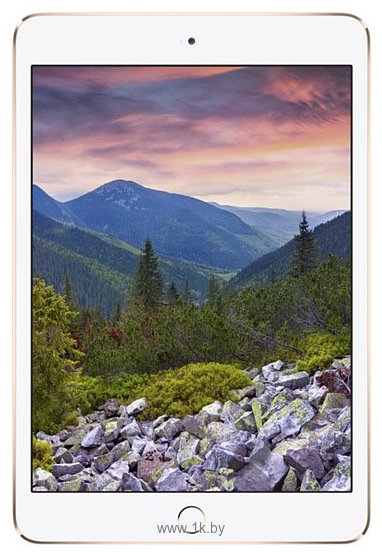 Фотографии Apple iPad mini 3 16Gb Wi-Fi