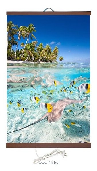Фотографии Технологии 21 Тропические рыбки
