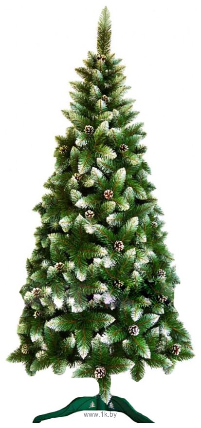 Фотографии Christmas Tree Таежная с белыми концами и с шишками 1.3 м