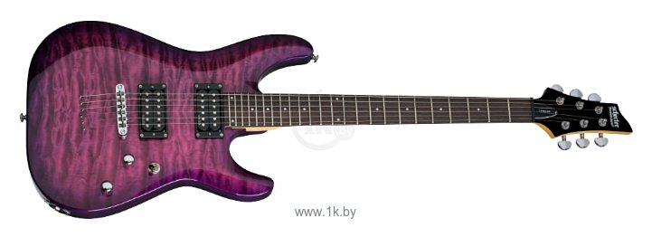 Фотографии Schecter C-6 Plus